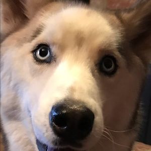 Meet your Posher, Fonda